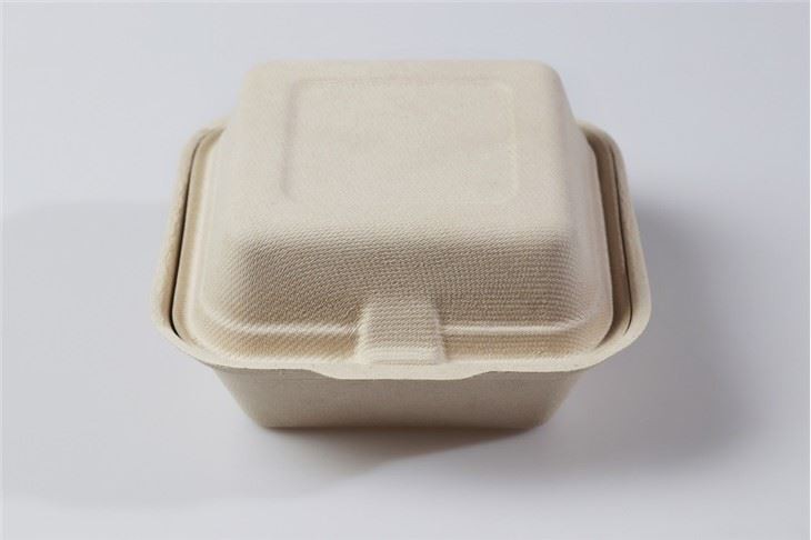Molded Pulp Clamshell Box Environment Friendly